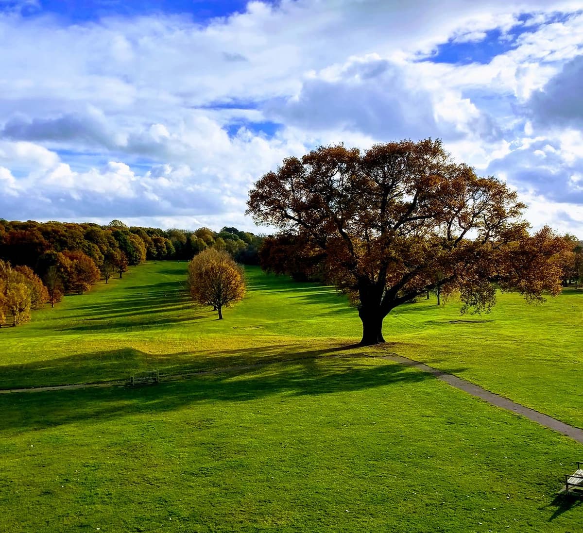 Francis Chappell & Sons Funeral Directors